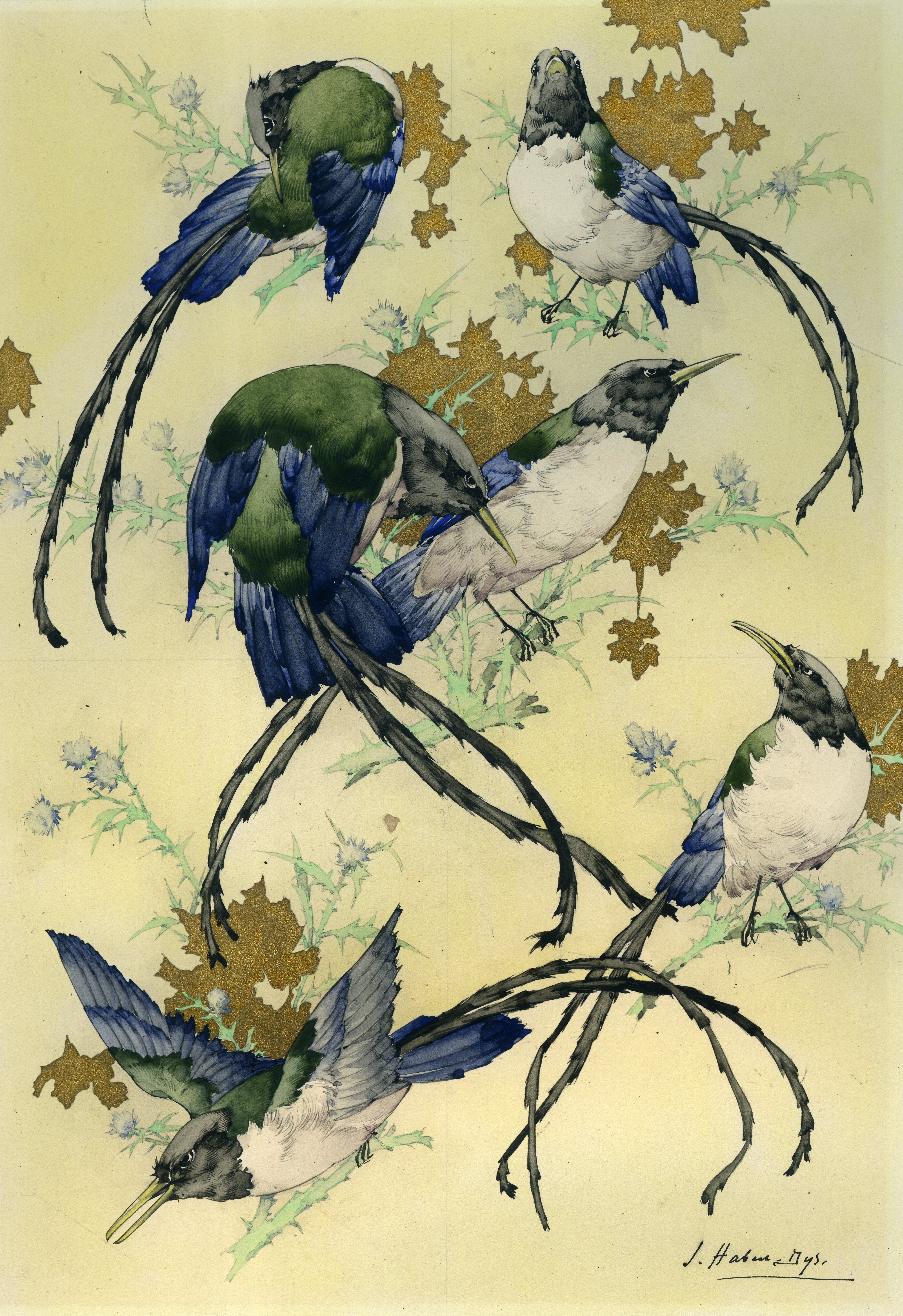 Illustration for Caprices Décoratifs: Oiseaux d’Afrique [Birds of Africa]